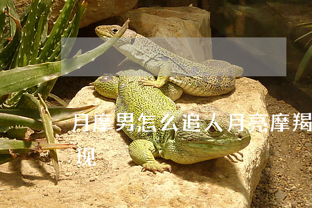 月摩男怎么追人(月亮摩羯男喜欢一个人的表现)