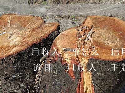 月收入幾千怎么還信用卡網(wǎng)貸逾期-月收入幾千怎么還信用卡網(wǎng)貸逾期了