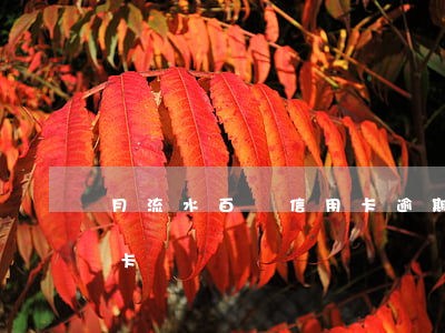 月流水百萬信用卡逾期(半年流水20萬信用卡嗎)