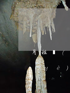 月租機(jī)逾期被起訴(租機(jī)業(yè)務(wù)的逾期率)