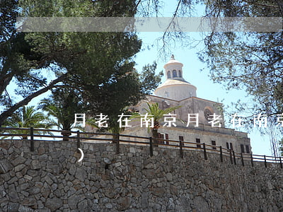 月老在南京(月老在南京要不要收費(fèi))