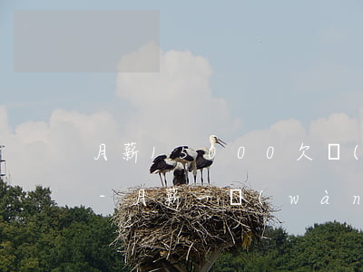 月薪15000 欠網(wǎng)貸15w-月薪一萬(wàn)網(wǎng)貸15萬(wàn)