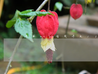 月薪4千信用卡欠10萬怎么辦-