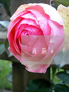 月薪4千信用卡欠8万