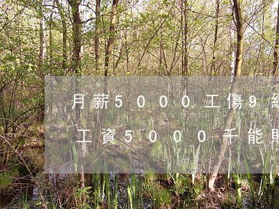 月薪5000工傷9級賠多少錢(九級工傷月工資5000千能賠多少錢)