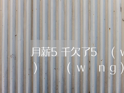 月薪5千欠了5萬(wàn)網(wǎng)貸(網(wǎng)貸欠5萬(wàn)多嗎)