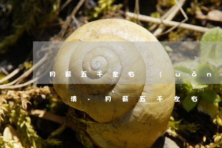月薪五千左右網(wǎng)貸未逾期且已還清-月薪五千左右網(wǎng)貸未逾期且已還清怎么辦