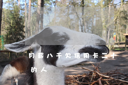 月薪八千欠信用卡二十萬（月薪上萬欠信用卡的人）