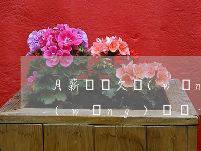 月薪過萬欠網(wǎng)貸20萬(欠了網(wǎng)貸幾十萬)