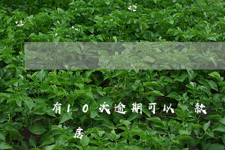 有10次逾期可以貸款嗎(逾期10次能貸款買房嗎)