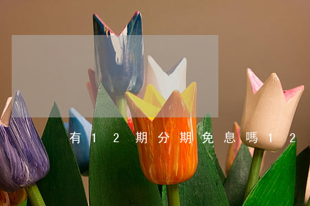 有12期分期免息嗎(12期免息是真的嗎)