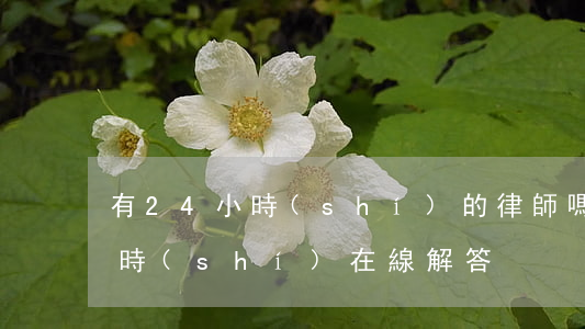 有24小時(shí)的律師嗎(律師24小時(shí)在線解答)