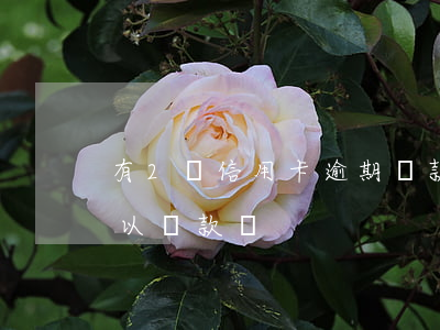 有2條信用卡逾期還款 有兩次信用卡逾期可以貸款嗎