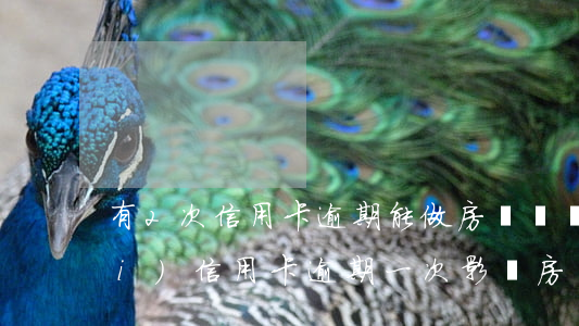有2次信用卡逾期能做房貸嗎(兩年內(nèi)信用卡逾期一次影響房貸嗎)