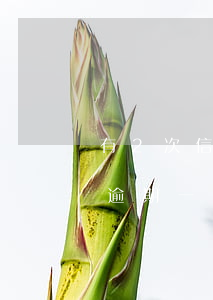 有2次信用卡逾期能做房贷吗(两年内信用卡逾期一次影响房贷吗)