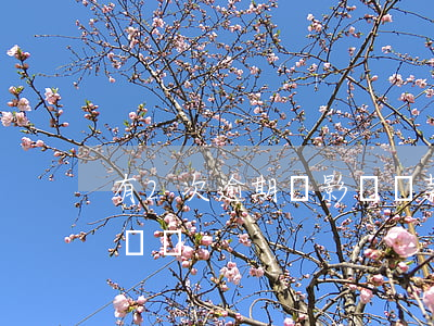 有2次逾期會影響貸款嗎(2次逾期會影響房貸嗎)