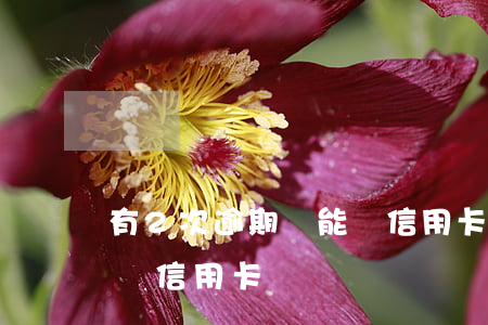 有2次逾期還能辦信用卡了么(多次逾期還能辦信用卡嗎)