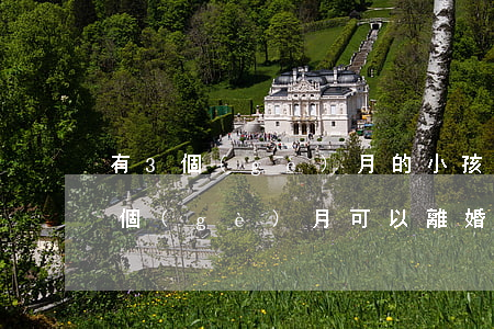 有3個(gè)月的小孩可以離婚嗎(小孩幾個(gè)月可以離婚)