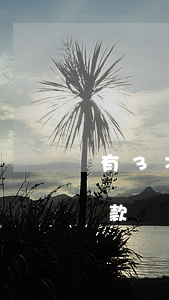 有3次逾期金額少能做房貸嗎(逾期3次能貸款買房嗎)
