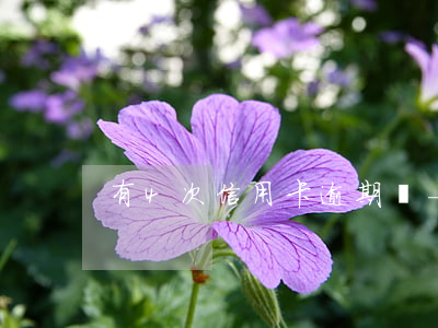 有4次信用卡逾期嗎-四次逾期會影響大嗎