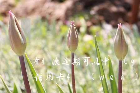 有4次逾期可以申請(qǐng)信用卡嗎(信用卡4萬(wàn)逾期半年以上)