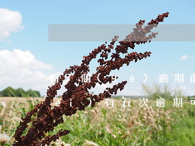 有5個(gè)逾期還能貸款嗎(五年內(nèi)有五次逾期可以房貸嗎)