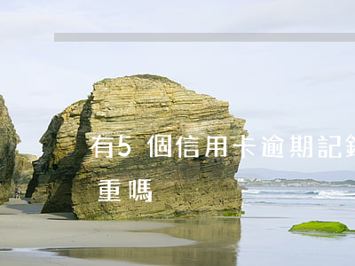 有5個信用卡逾期記錄嗎(信用卡逾期五次嚴重嗎)