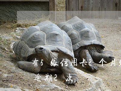 有5张信用卡2个月处于逾期 两年内信用卡逾期2次