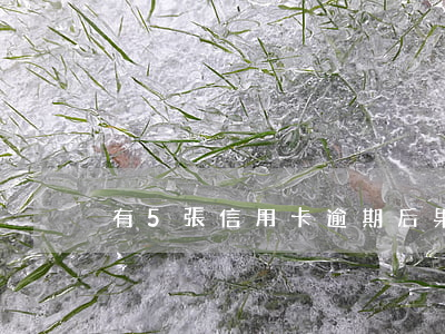 有5張信用卡逾期后果