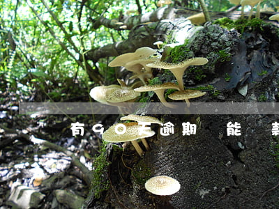 有90天逾期還能貸款嗎