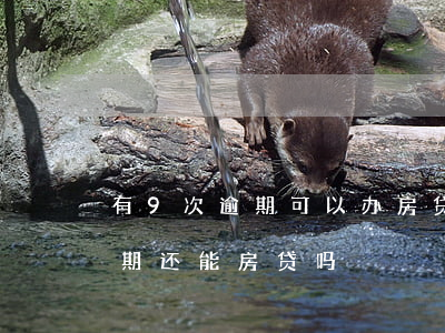 有9次逾期可以办房贷么(近五年有九个月逾期还能房贷吗)