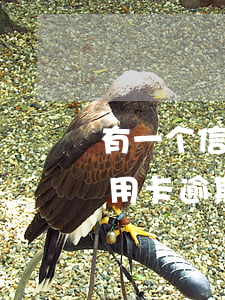 有一个信用卡逾期（周巍律师解答了您好我信用卡逾期）