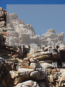 有一個(gè)信用卡逾期能貸款么(有信用卡逾期可以貸款嗎)