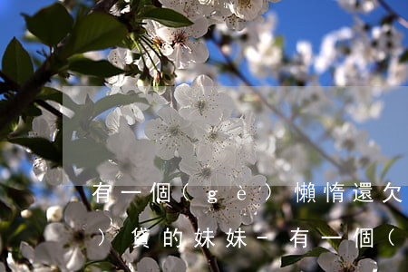 有一個(gè)懶惰還欠巨額網(wǎng)貸的妹妹-有一個(gè)懶惰還欠巨額網(wǎng)貸的妹妹怎么辦