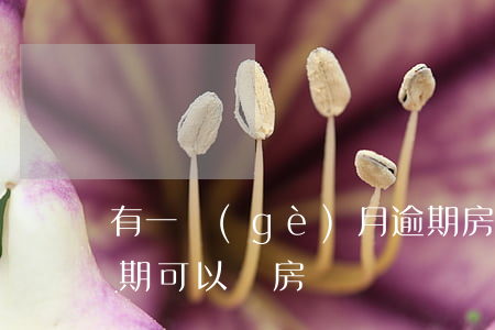 有一個(gè)月逾期房貸能批嗎(有一筆逾期可以辦房貸嗎)