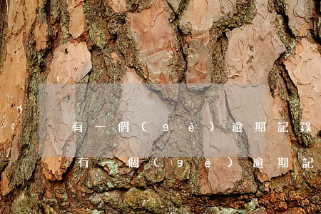 有一個(gè)逾期記錄可以辦公積金嗎-有一個(gè)逾期記錄可以辦公積金嗎怎么辦