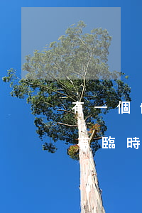有一個信用卡逾期,其他全部提額不了?（信用卡有臨時提額逾期還不起）
