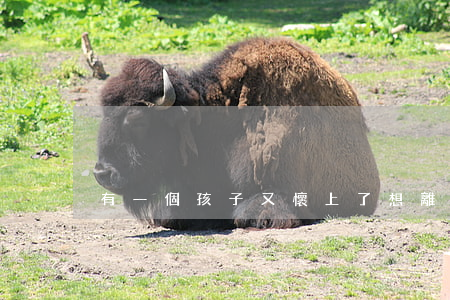 有一個孩子又懷上了想離婚怎么辦