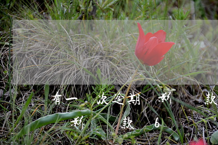 有一兩次逾期會影響貸款嗎（信用卡兩次逾期會影響貸款嗎6）