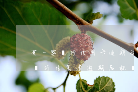 有一家銀行信用卡逾期后就銷戶了-有一家銀行信用卡逾期后就銷戶了怎么辦