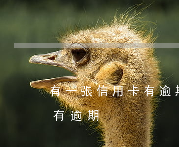 有一張信用卡有逾期能貸款嗎（有一張信用卡有逾期）