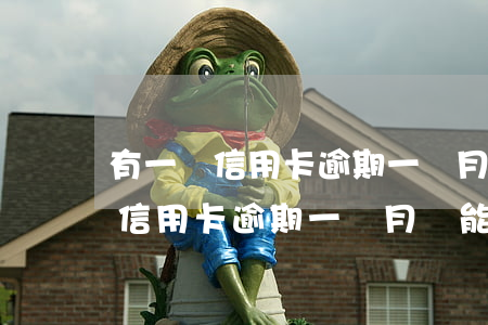 有一張信用卡逾期一個月還能用嗎-有一張信用卡逾期一個月還能用嗎