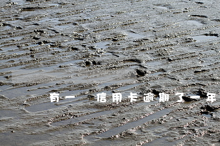 有一張信用卡逾期了一年(信用卡逾期很多年)