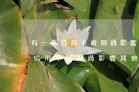 有一張信用卡逾期過影響其他的嗎-有一張信用卡逾期過影響其他的嗎怎么辦