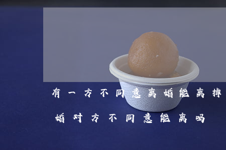有一方不同意离婚能离掉吗(如果一方提出离婚对方不同意能离吗)