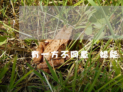 有一方不同意離婚能離掉嗎