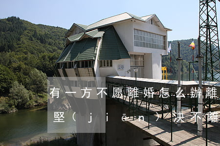 有一方不愿離婚怎么辦(離婚對(duì)方堅(jiān)決不離怎么辦)