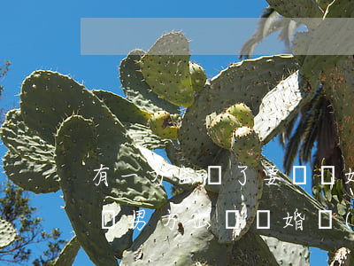 有一方出軌了要辦離婚協(xié)議怎么寫(男方出軌離婚協(xié)議書怎么寫才有法律效力)