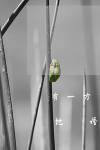 有一方有結婚證能辦離婚手續(xù)嗎(異地結婚離婚要在辦結婚證的一方離婚嗎)