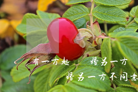 有一方起訴離婚另一方應該怎么辦(一方提起訴訟離婚另一方不同意怎么辦)